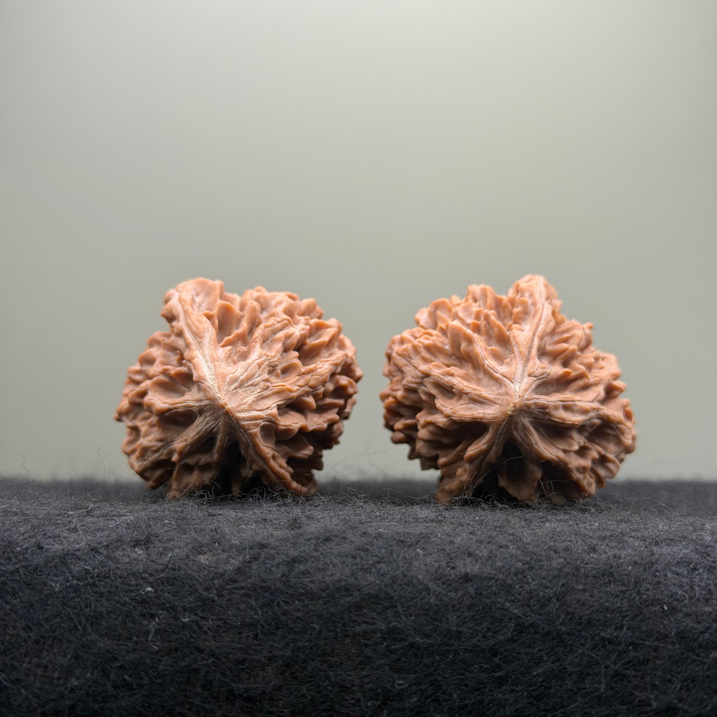 Fortune Rat Wenwan Walnut · 53mm · Natural · Select Ritual
