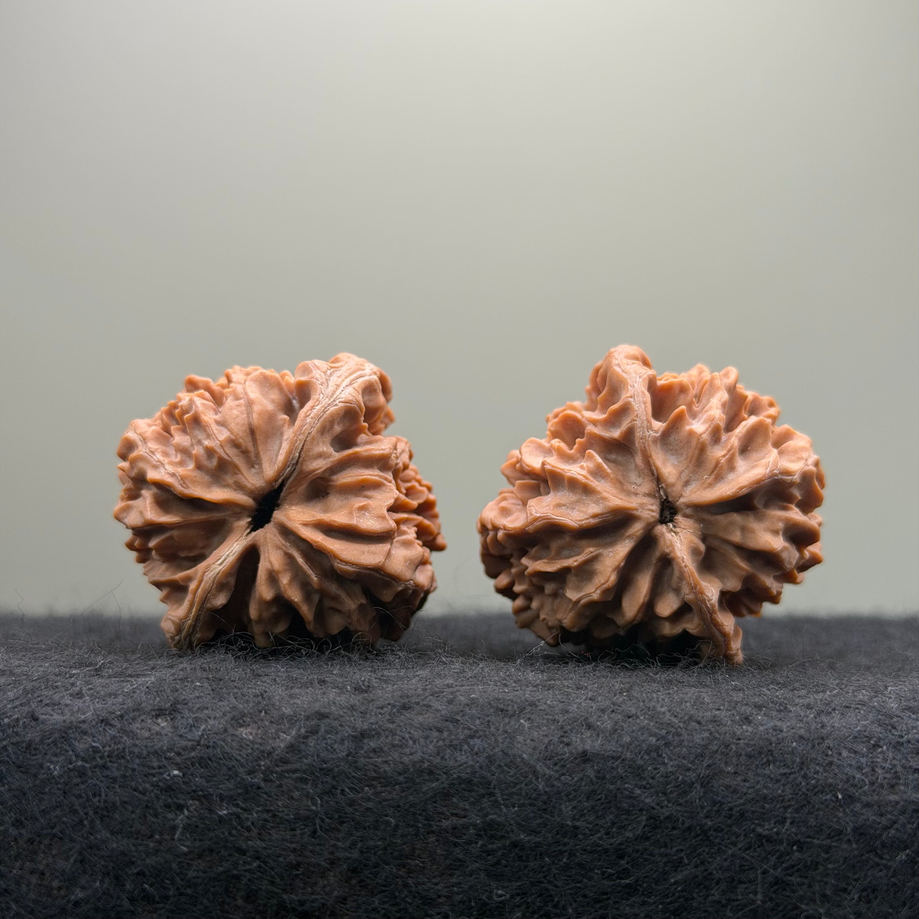 Fortune Rat Wenwan Walnut · 53mm · Natural · Select Ritual