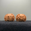 'Walnut King' Wenwan Walnut · 36mm · Natural · Entry Ritual