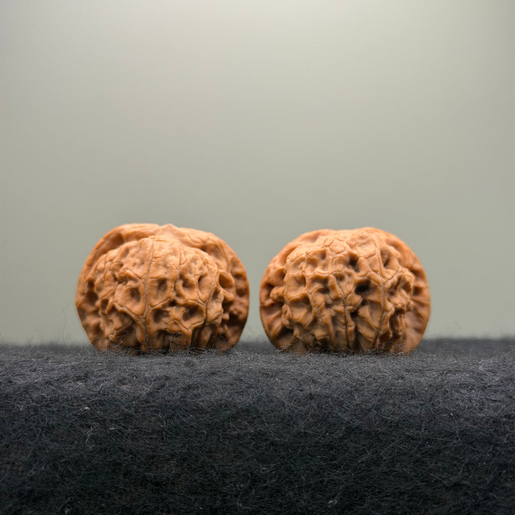 'Walnut King' Wenwan Walnut · 36mm · Natural · Entry Ritual