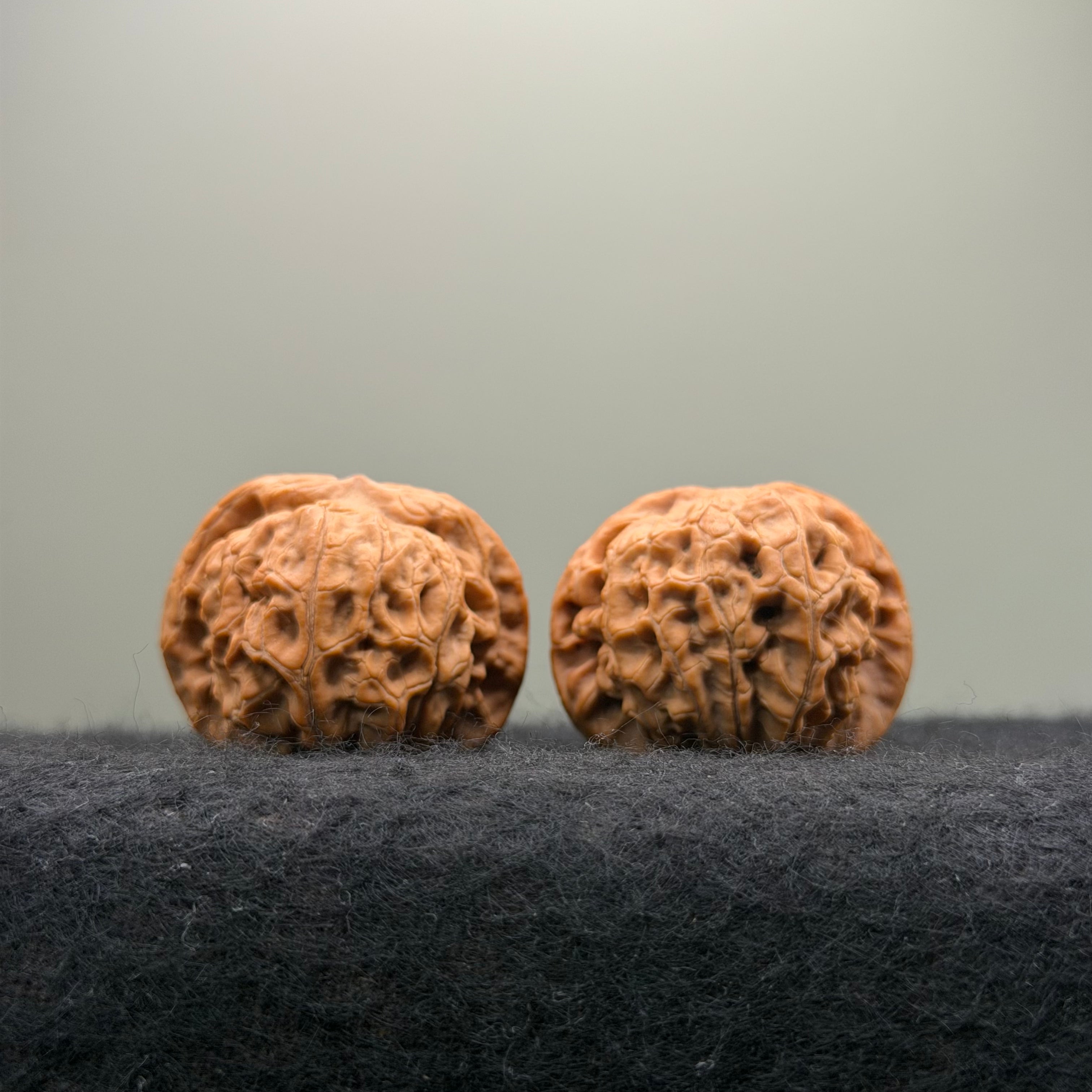 'Walnut King' Wenwan Walnut · 36mm · Natural · Entry Ritual