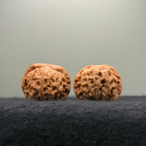 'Walnut King' Wenwan Walnut · 36mm · Natural · Entry Ritual