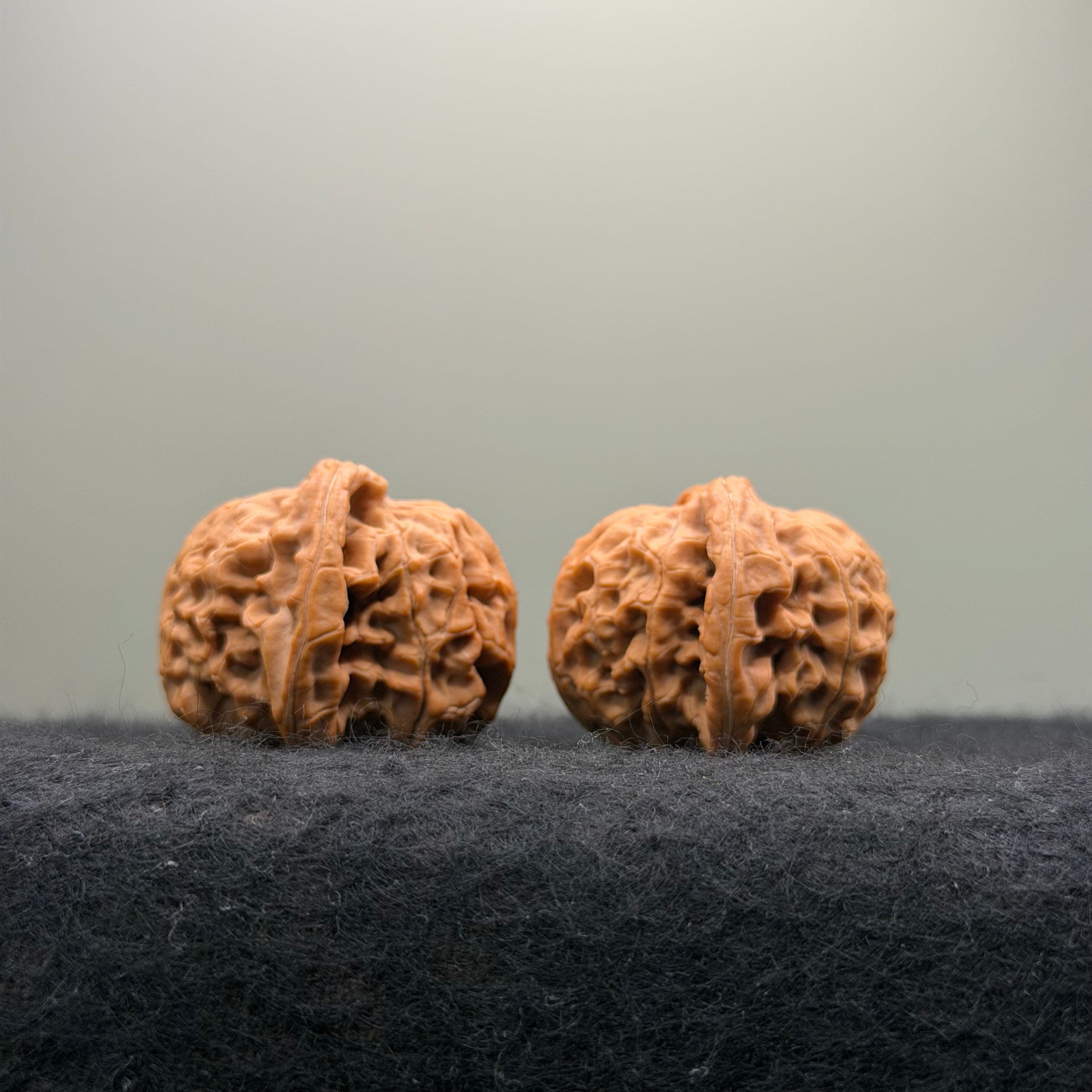 'Walnut King' Wenwan Walnut · 36mm · Natural · Entry Ritual