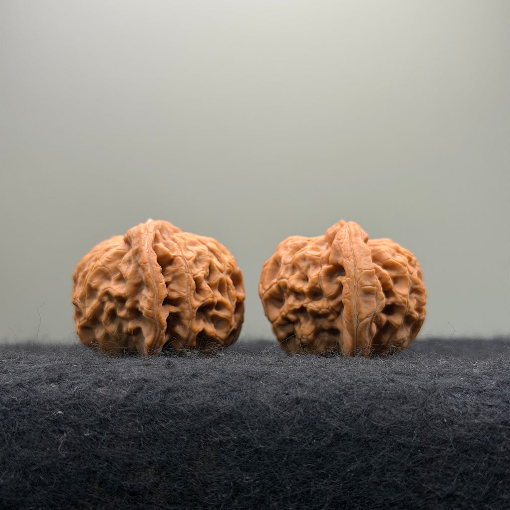 'Walnut King' Wenwan Walnut · 36mm · Natural · Entry Ritual