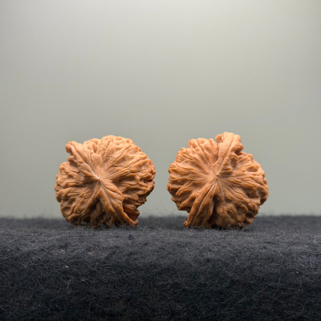 'Walnut King' Wenwan Walnut · 36mm · Natural · Entry Ritual