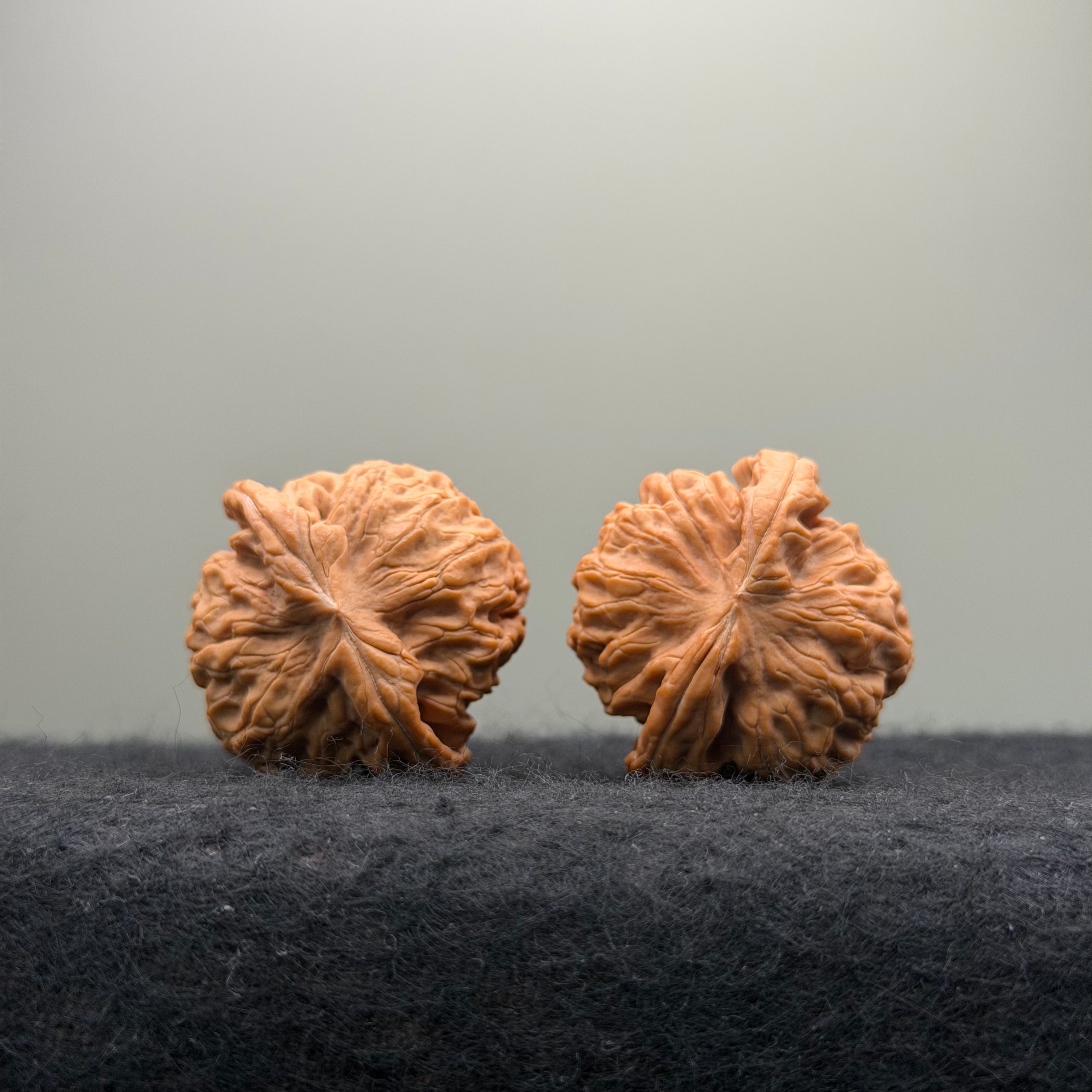 'Walnut King' Wenwan Walnut · 36mm · Natural · Entry Ritual