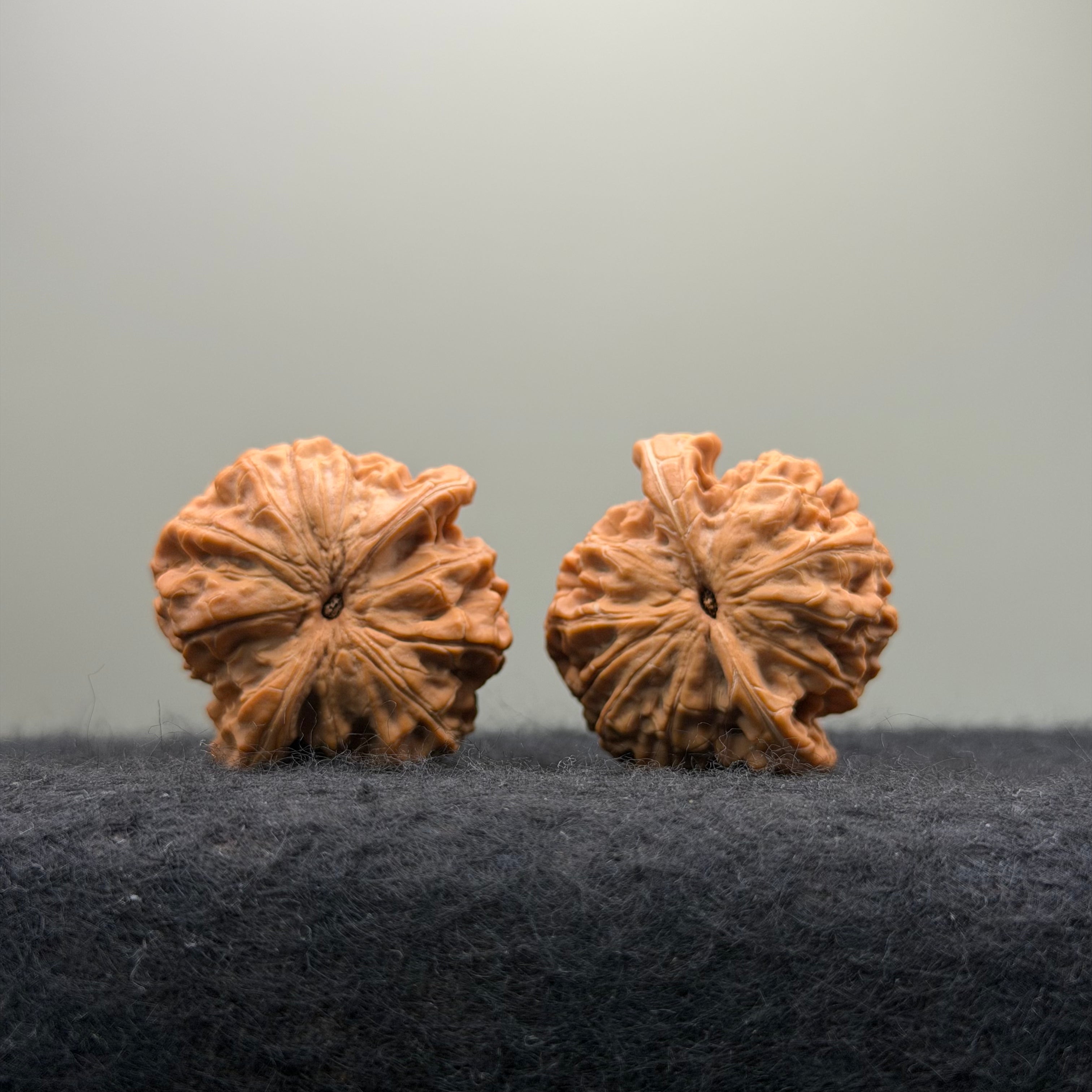 'Walnut King' Wenwan Walnut · 36mm · Natural · Entry Ritual