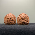 Dragon Prince Wenwan Walnut · 36mm · Select Ritual