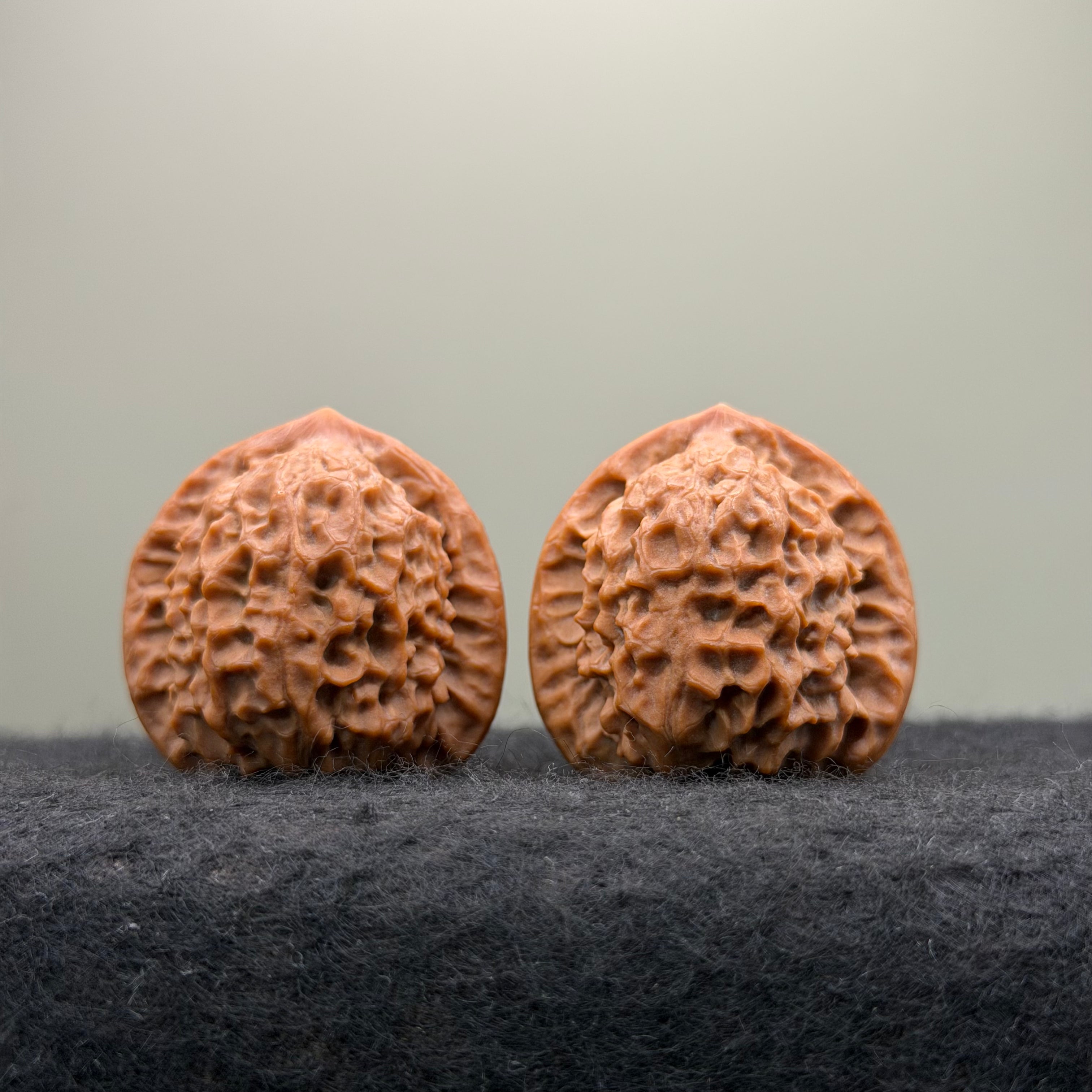 Dragon Prince Wenwan Walnut · 36mm · Select Ritual