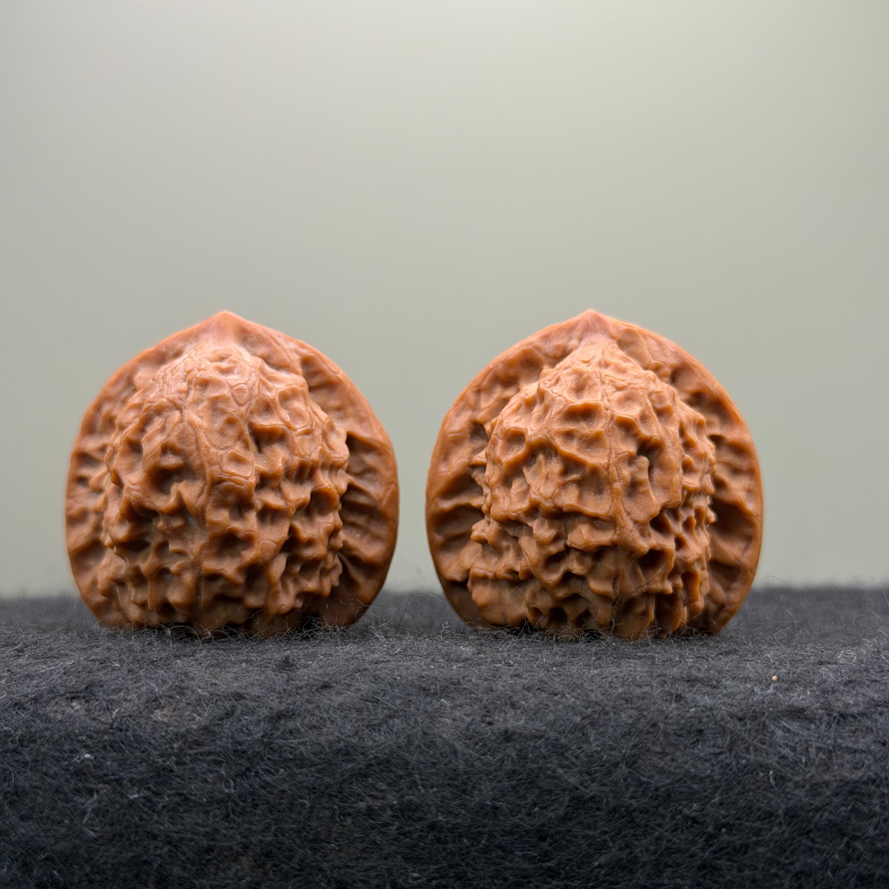Dragon Prince Wenwan Walnut · 36mm · Select Ritual