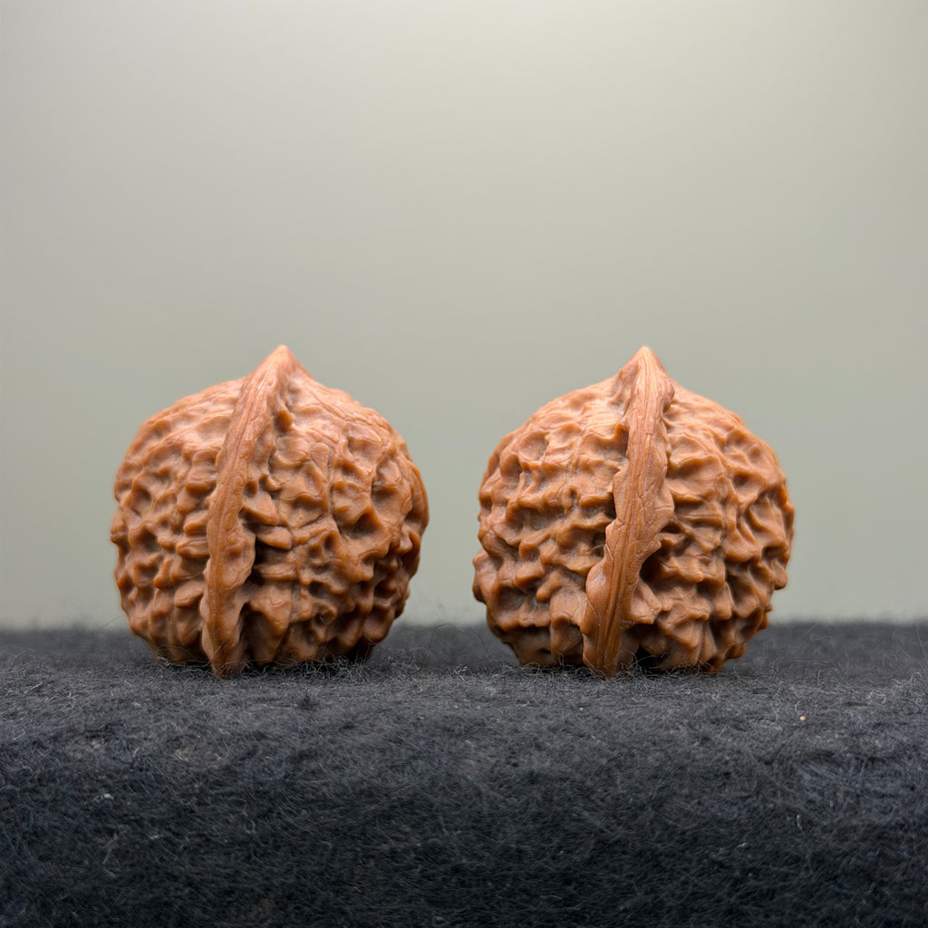 Dragon Prince Wenwan Walnut · 36mm · Select Ritual