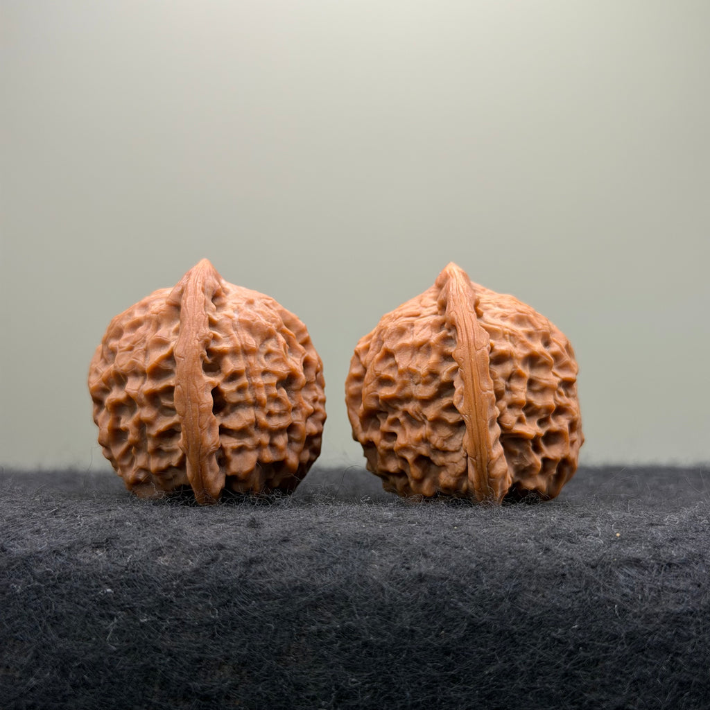 Dragon Prince Wenwan Walnut · 36mm · Select Ritual