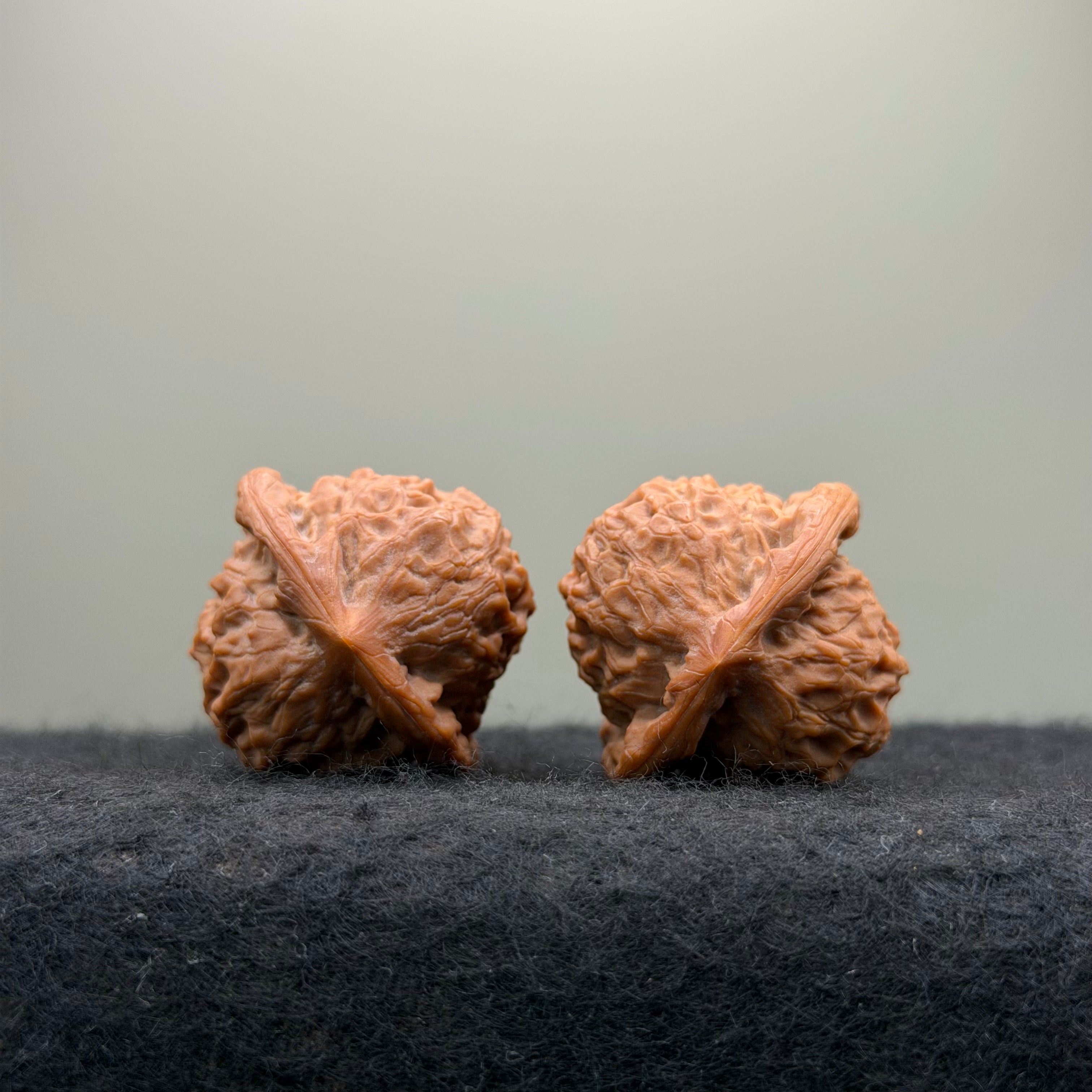 Dragon Prince Wenwan Walnut · 36mm · Select Ritual