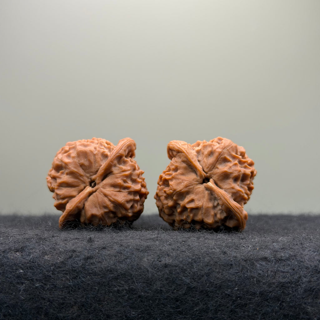 Dragon Prince Wenwan Walnut · 36mm · Select Ritual