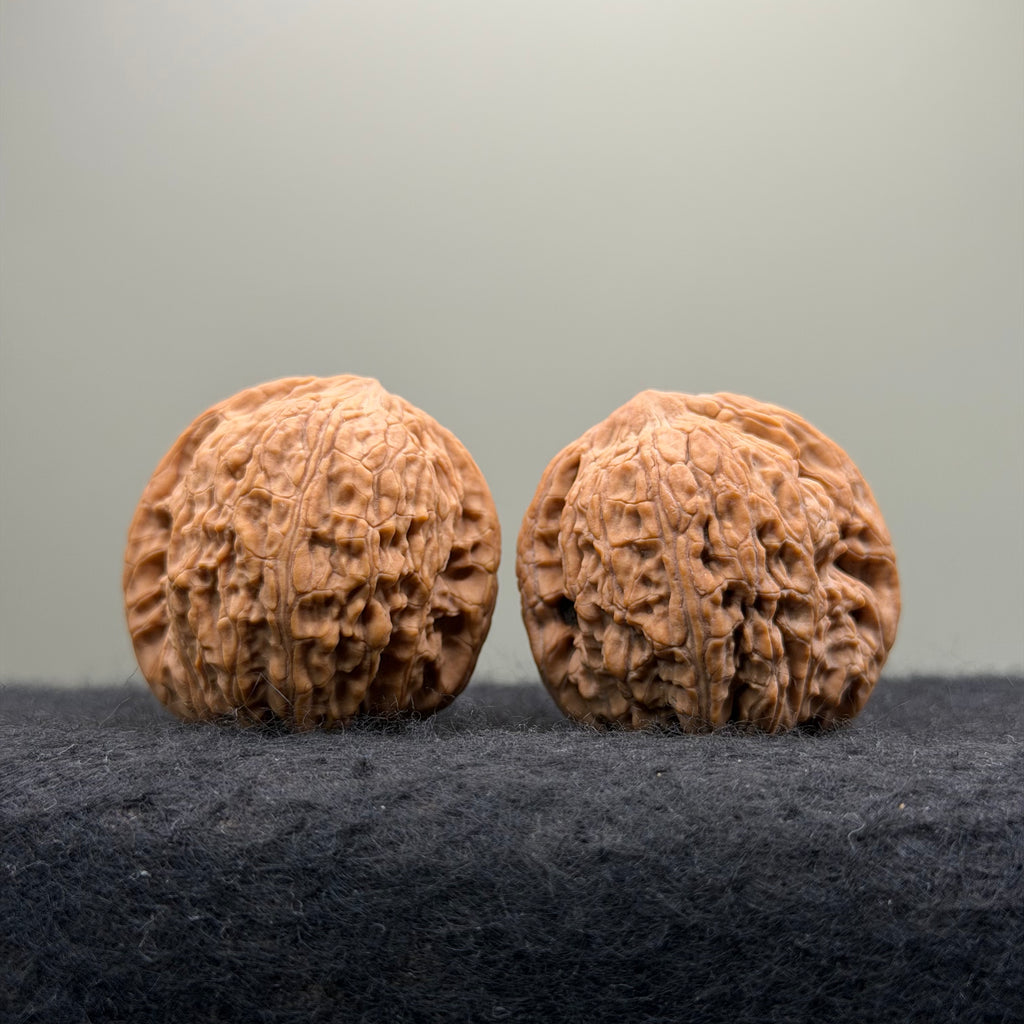 Loach Back Wenwan Walnut · 37mm · Natural · Entry Ritual