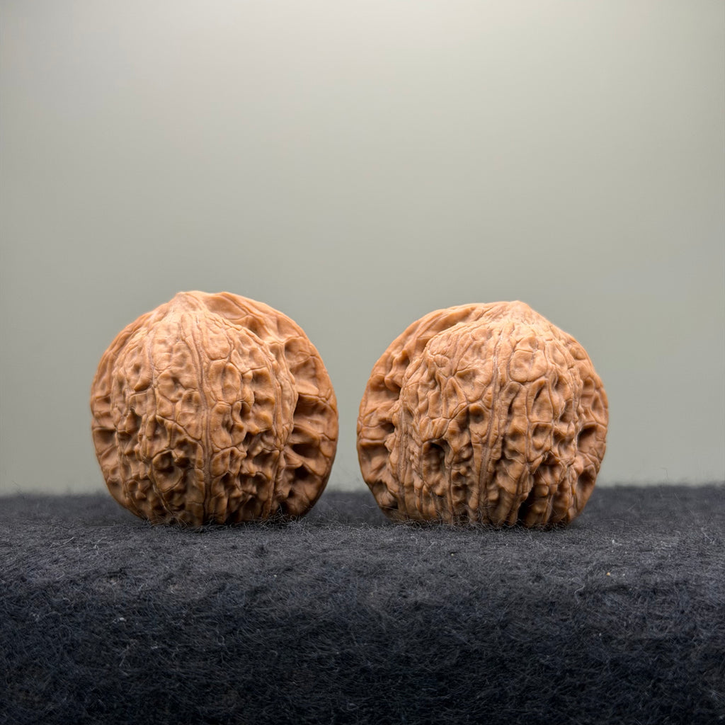 Loach Back Wenwan Walnut · 37mm · Natural · Entry Ritual