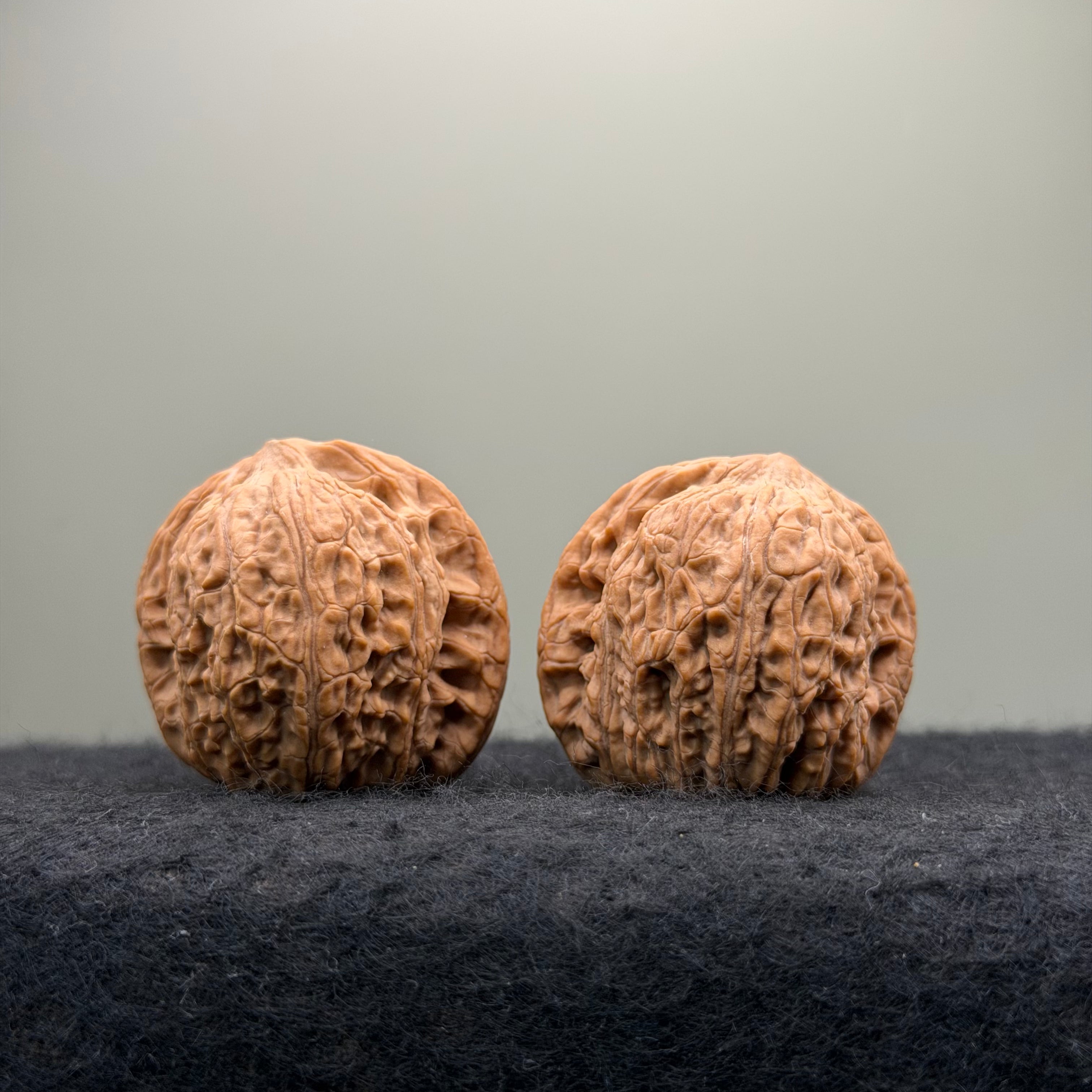 Loach Back Wenwan Walnut · 37mm · Natural · Entry Ritual