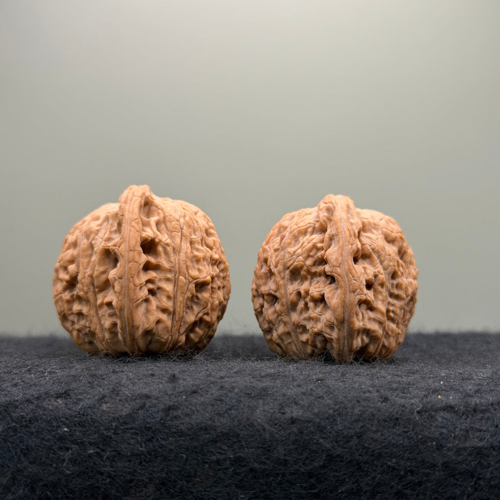 Loach Back Wenwan Walnut · 37mm · Natural · Entry Ritual