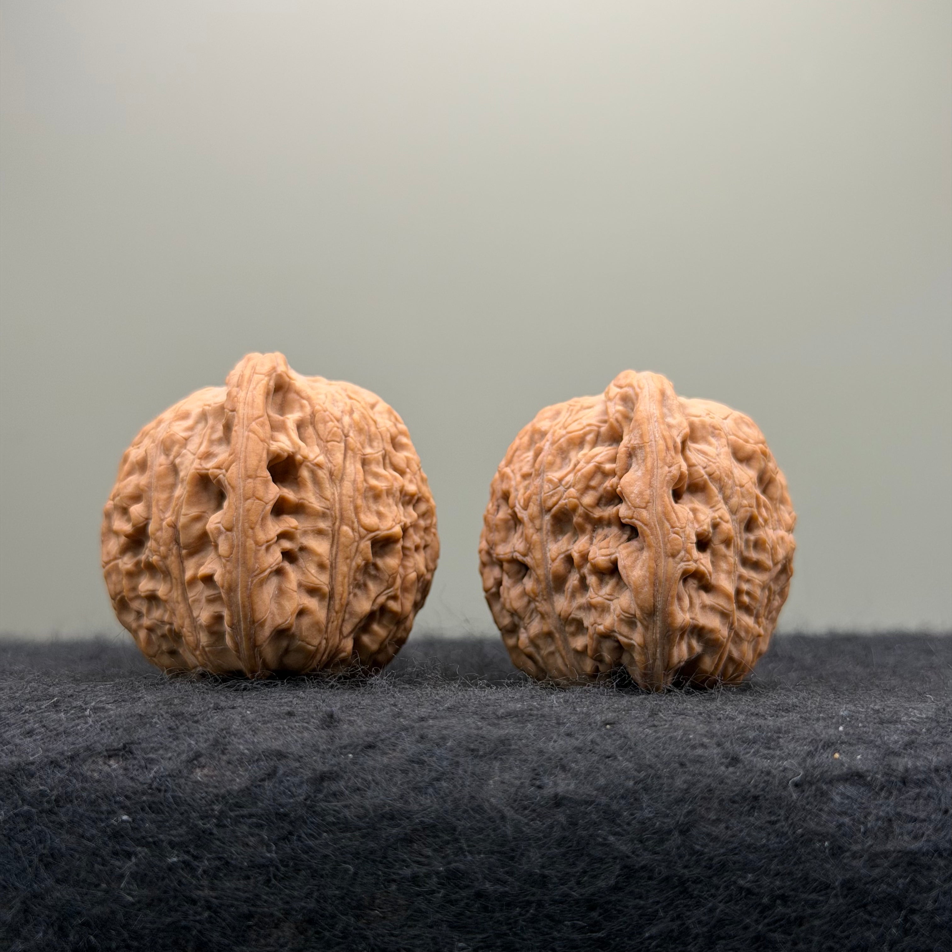 Loach Back Wenwan Walnut · 37mm · Natural · Entry Ritual