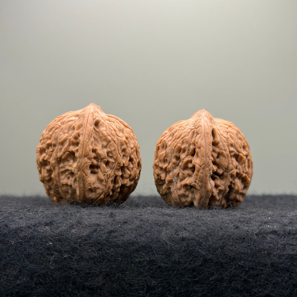 Loach Back Wenwan Walnut · 37mm · Natural · Entry Ritual