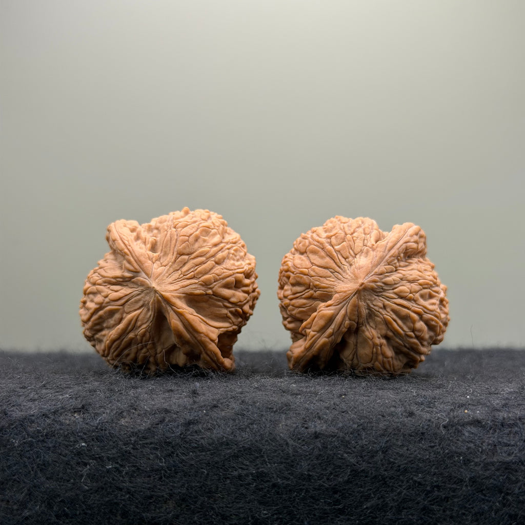 Loach Back Wenwan Walnut · 37mm · Natural · Entry Ritual