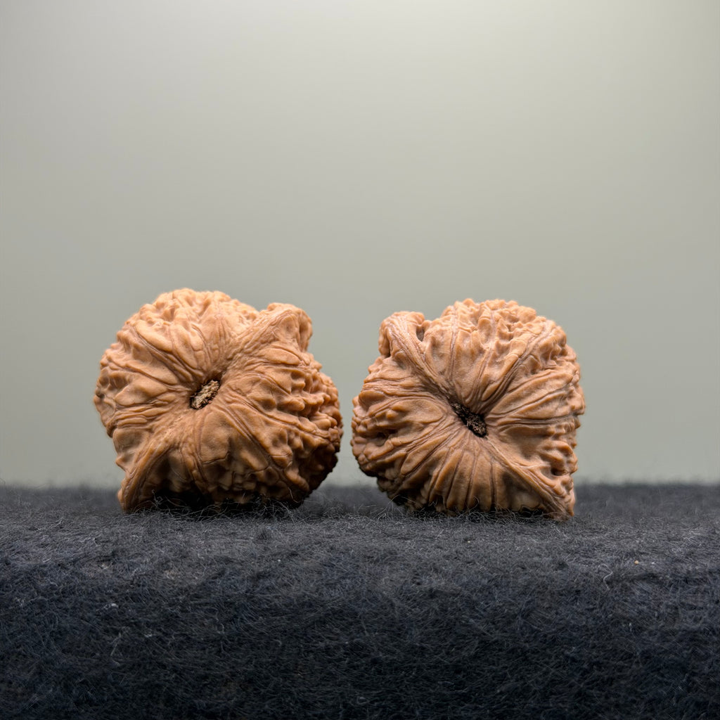 Loach Back Wenwan Walnut · 37mm · Natural · Entry Ritual