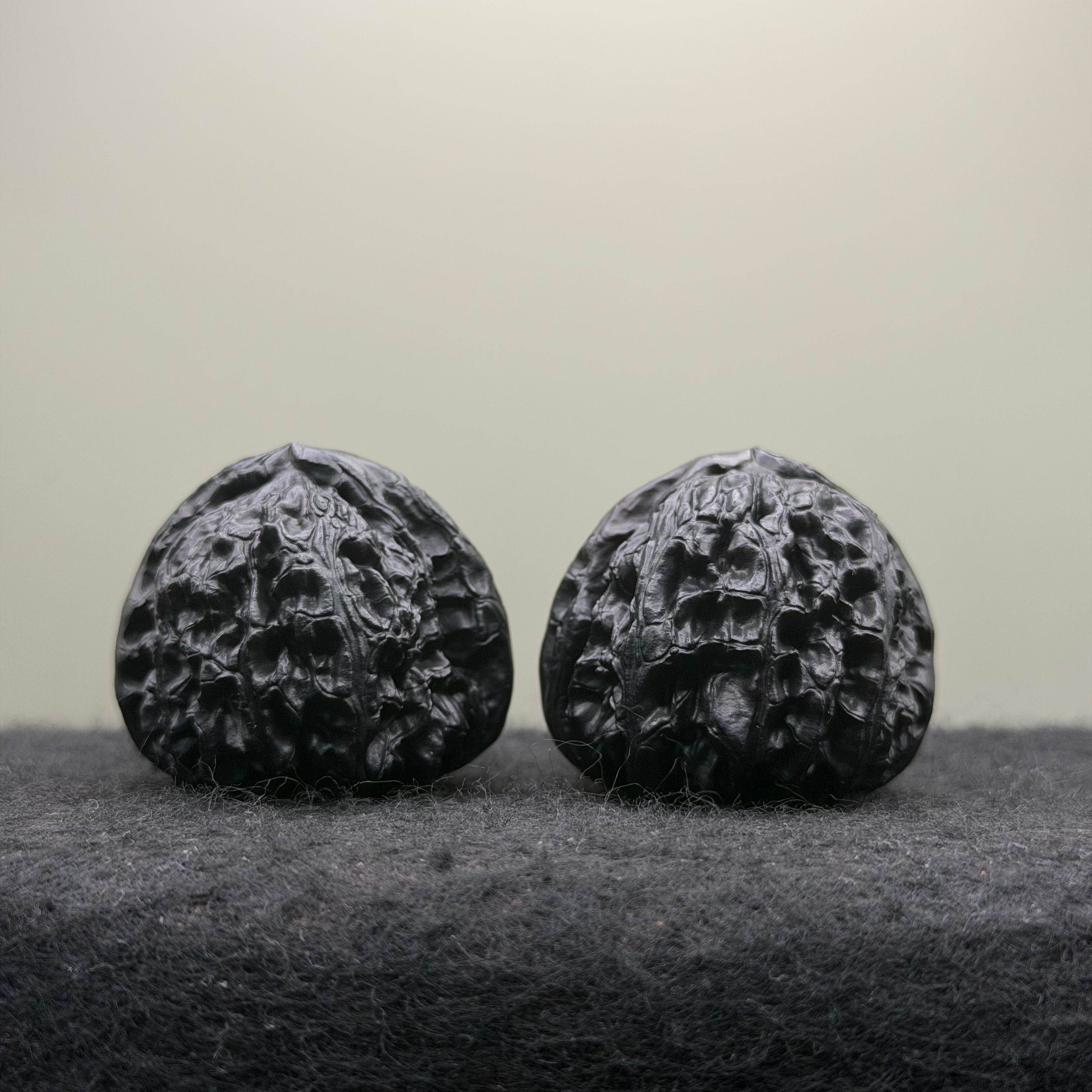 Ground Buried White Lion Wenwan Walnut · 38mm · Select Ritual
