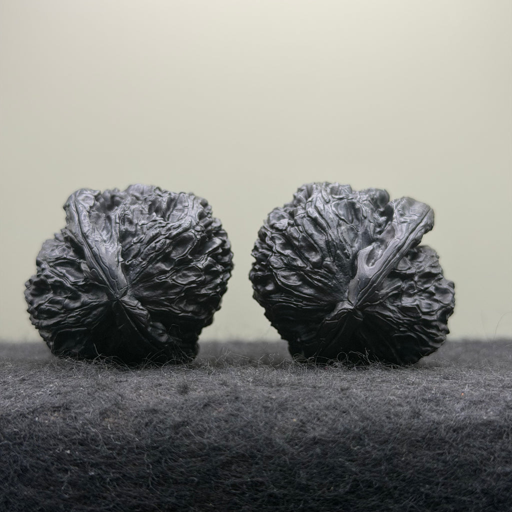 Ground Buried White Lion Wenwan Walnut · 38mm · Select Ritual