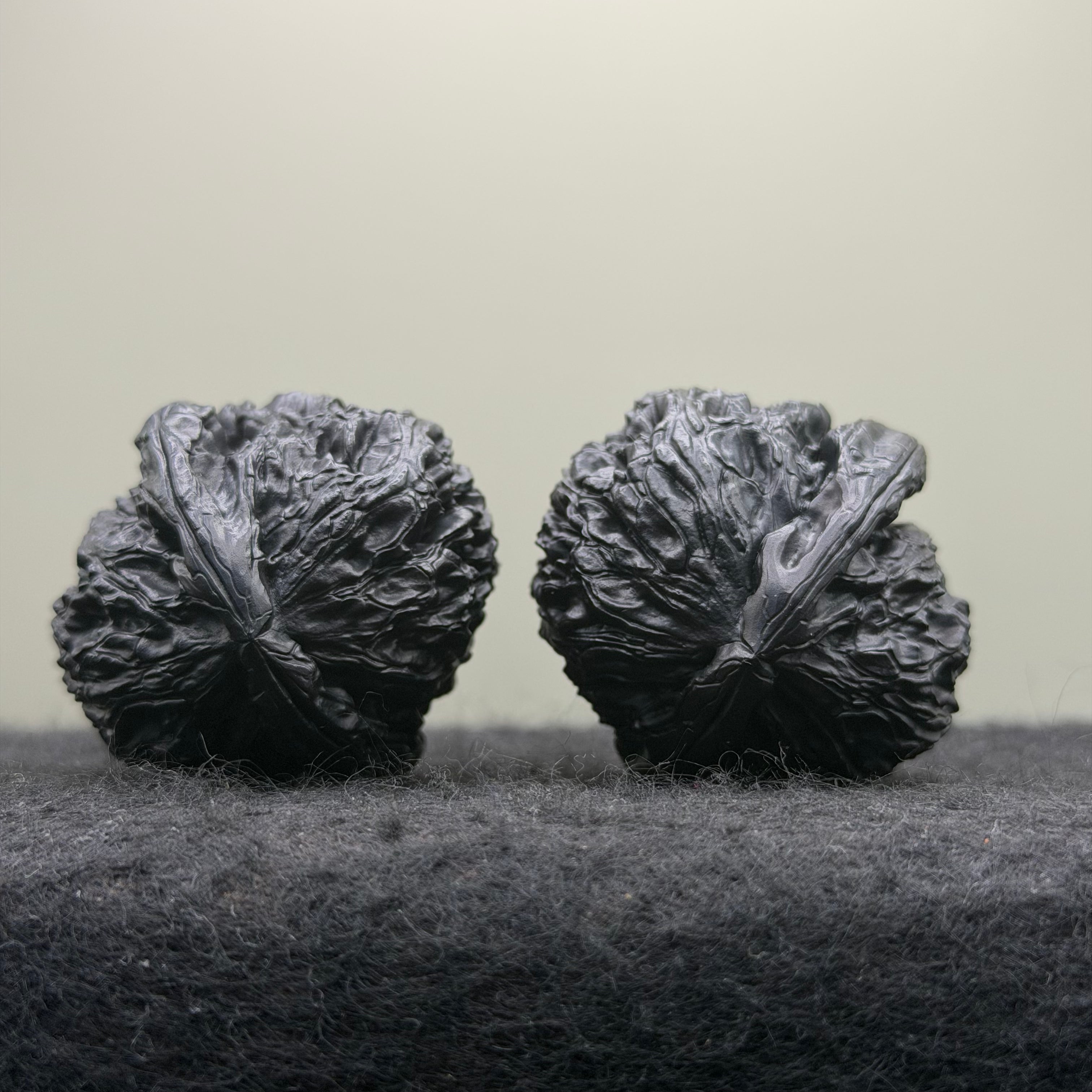 Ground Buried White Lion Wenwan Walnut · 38mm · Select Ritual