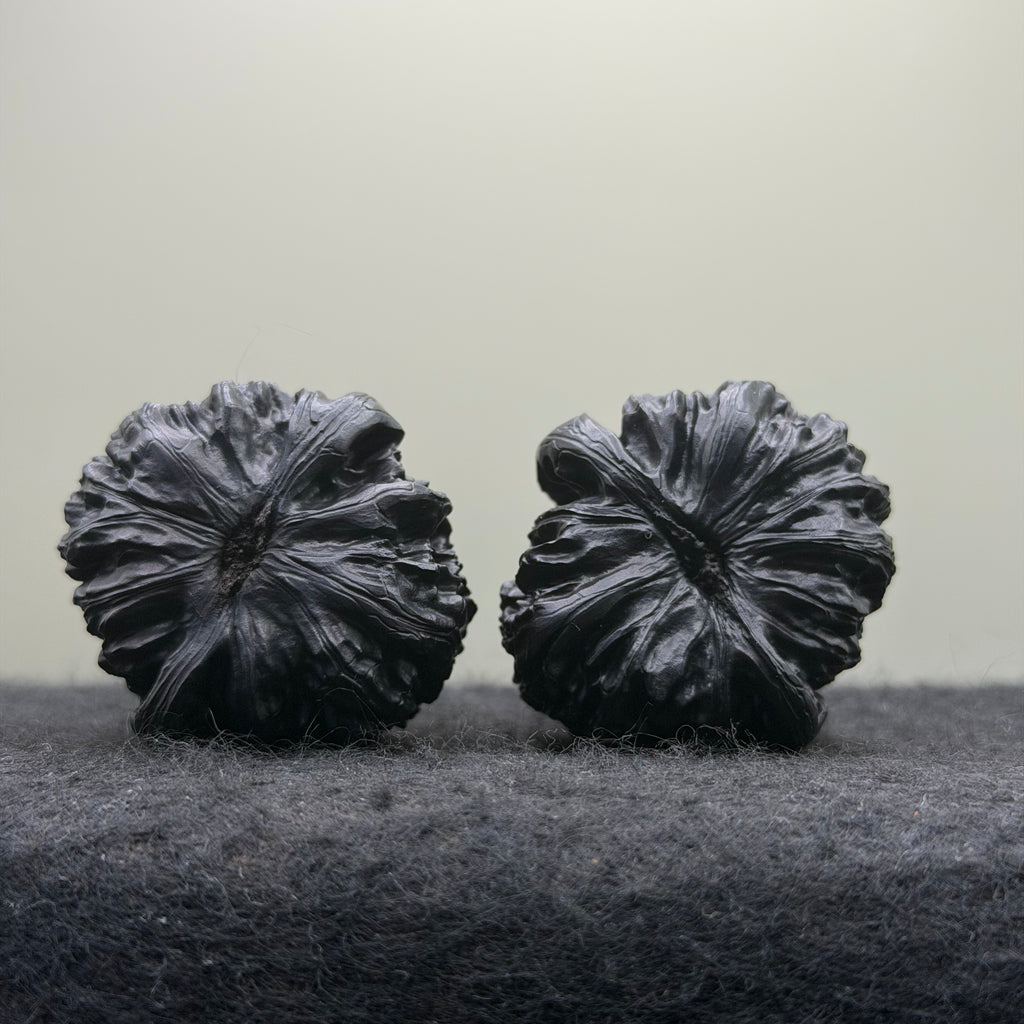 Ground Buried White Lion Wenwan Walnut · 38mm · Select Ritual