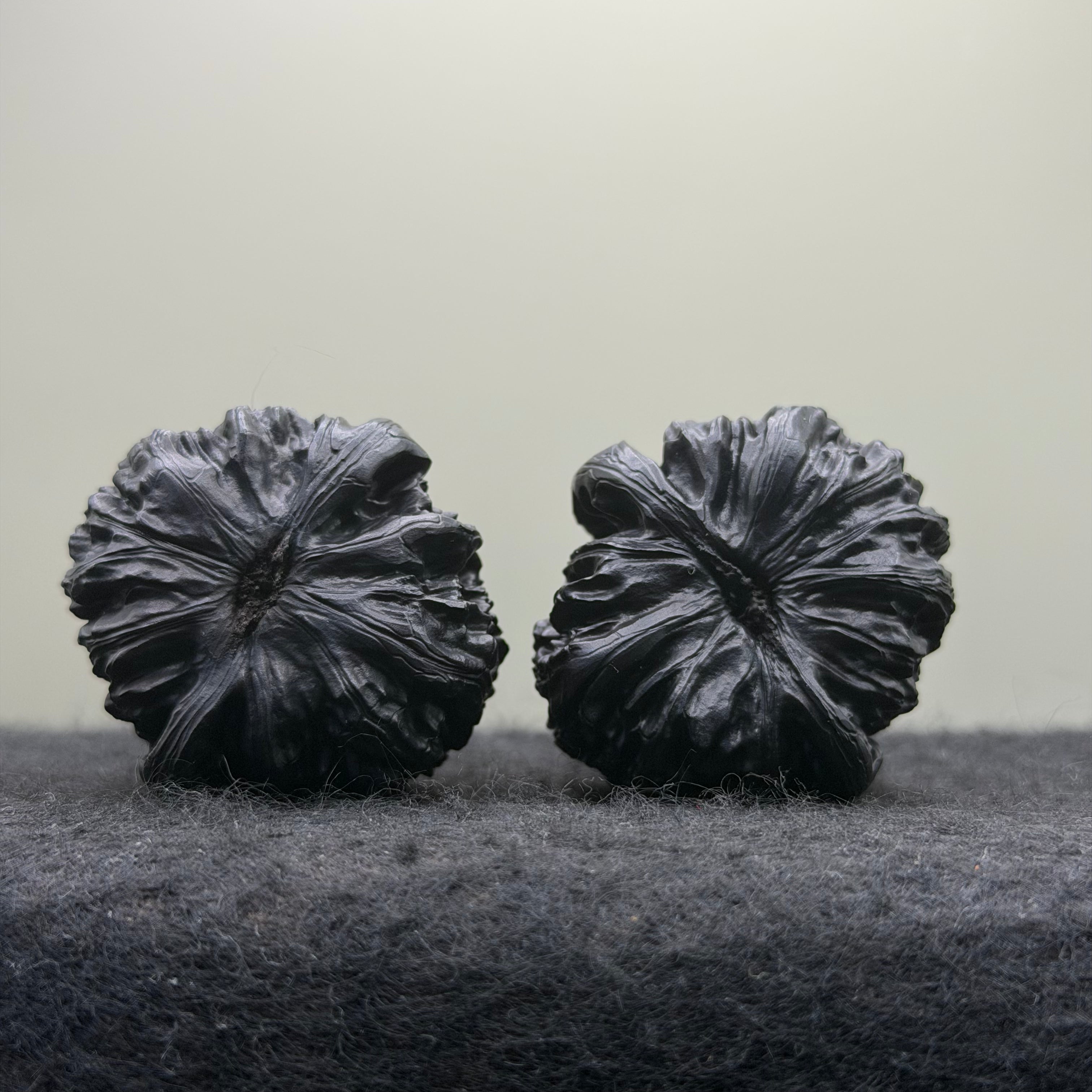 Ground Buried White Lion Wenwan Walnut · 38mm · Select Ritual