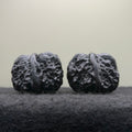 Ground Buried Toad Head Wenwan Walnut · 35mm · Select Ritual