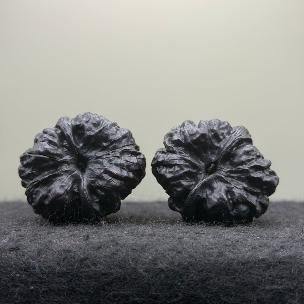 Ground Buried Toad Head Wenwan Walnut · 35mm · Select Ritual