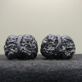 Ground Buried Toad Head Wenwan Walnut · 36mm · Entry Ritual