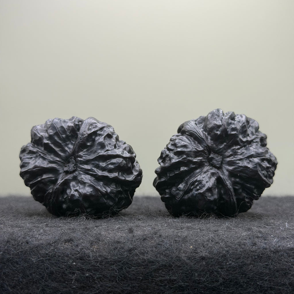 Ground Buried Toad Head Wenwan Walnut · 36mm · Entry Ritual