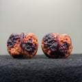 Rainbow Cliff Ingot Wenwan Walnut · 38mm · Select Ritual