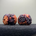Rainbow Cliff Toad Head Wenwan Walnut · 41mm · Select Ritual