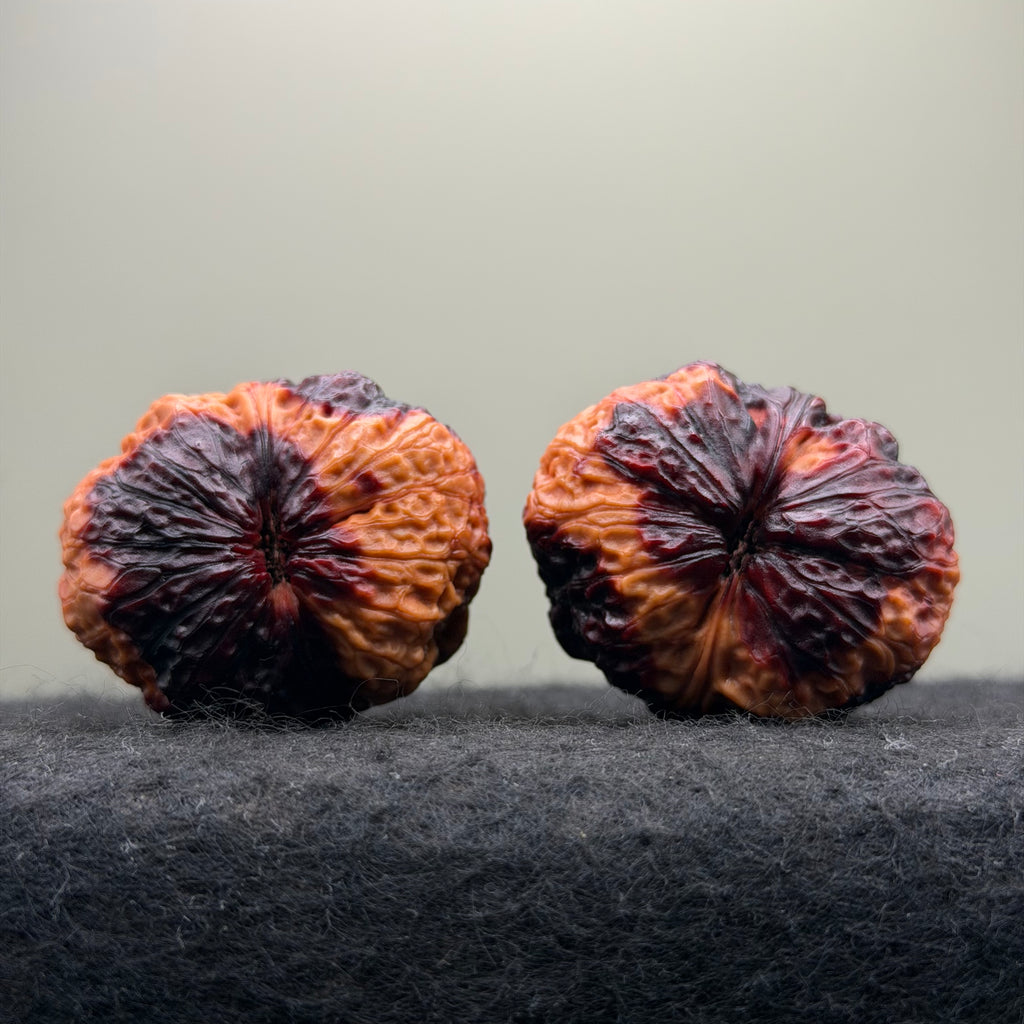 Rainbow Cliff Toad Head Wenwan Walnut · 41mm · Select Ritual