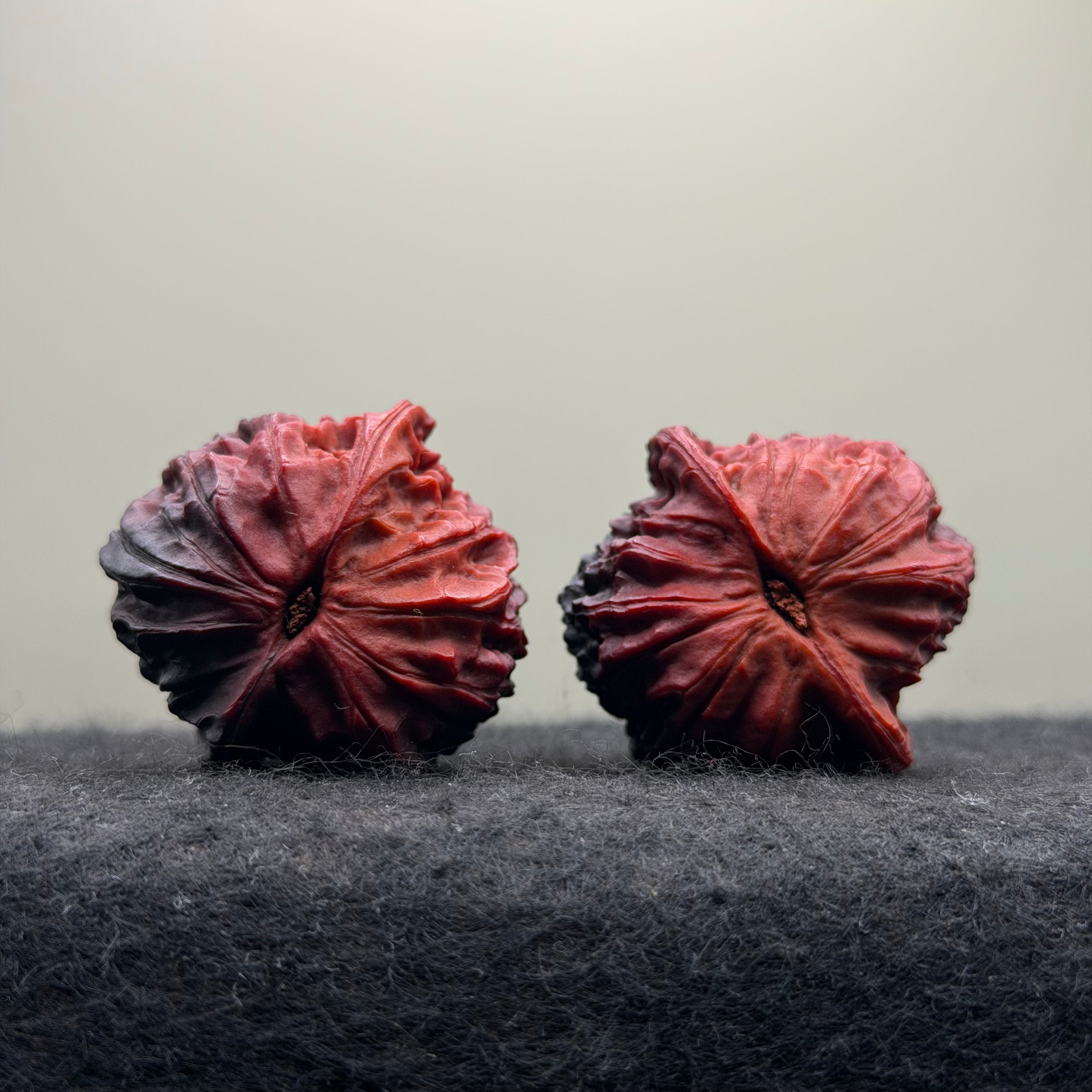 Ghost Rider Red Bean Wenwan Walnut · 38mm · Select Ritual