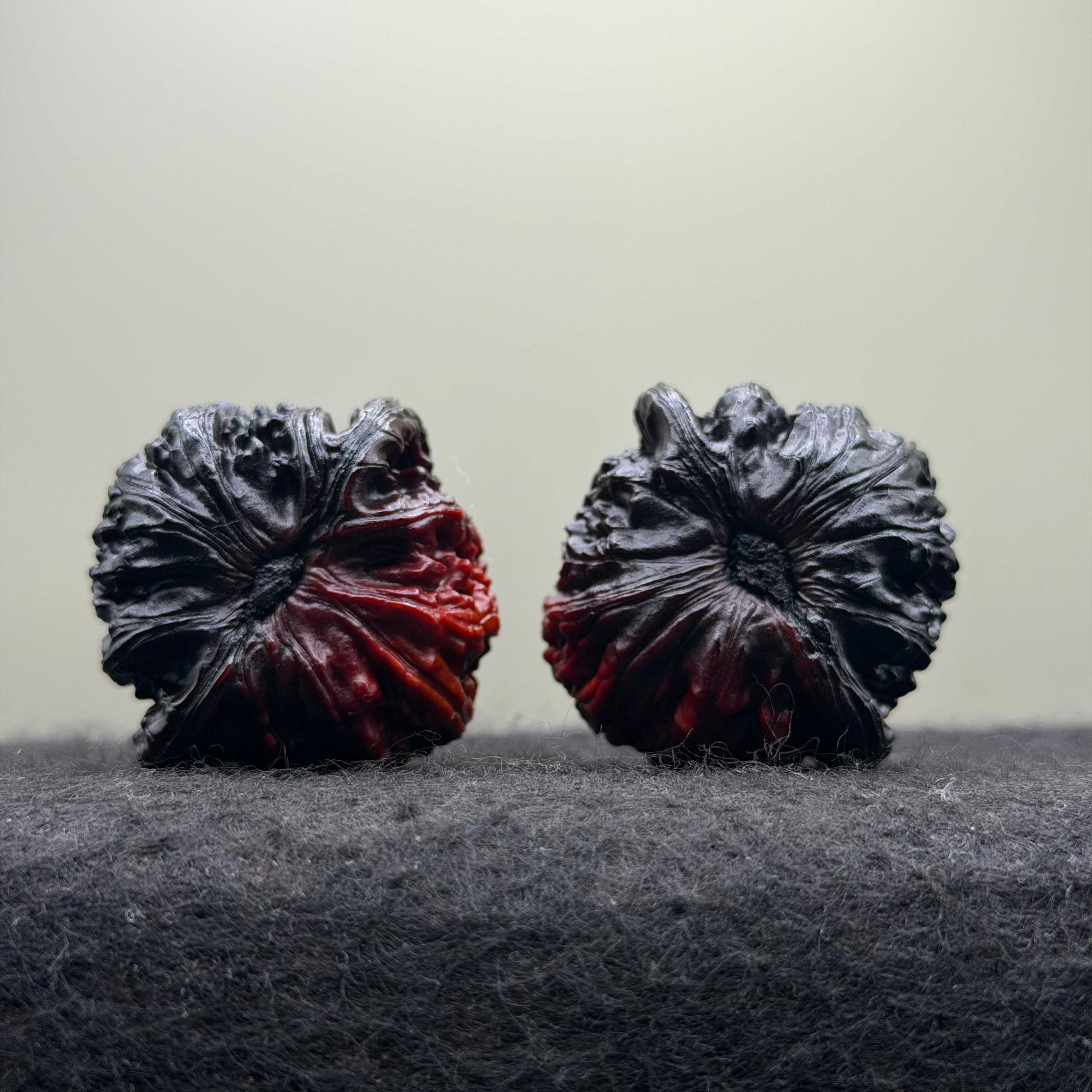 Ghost Rider White Lion Head Wenwan Walnut · 40mm · Select Ritual