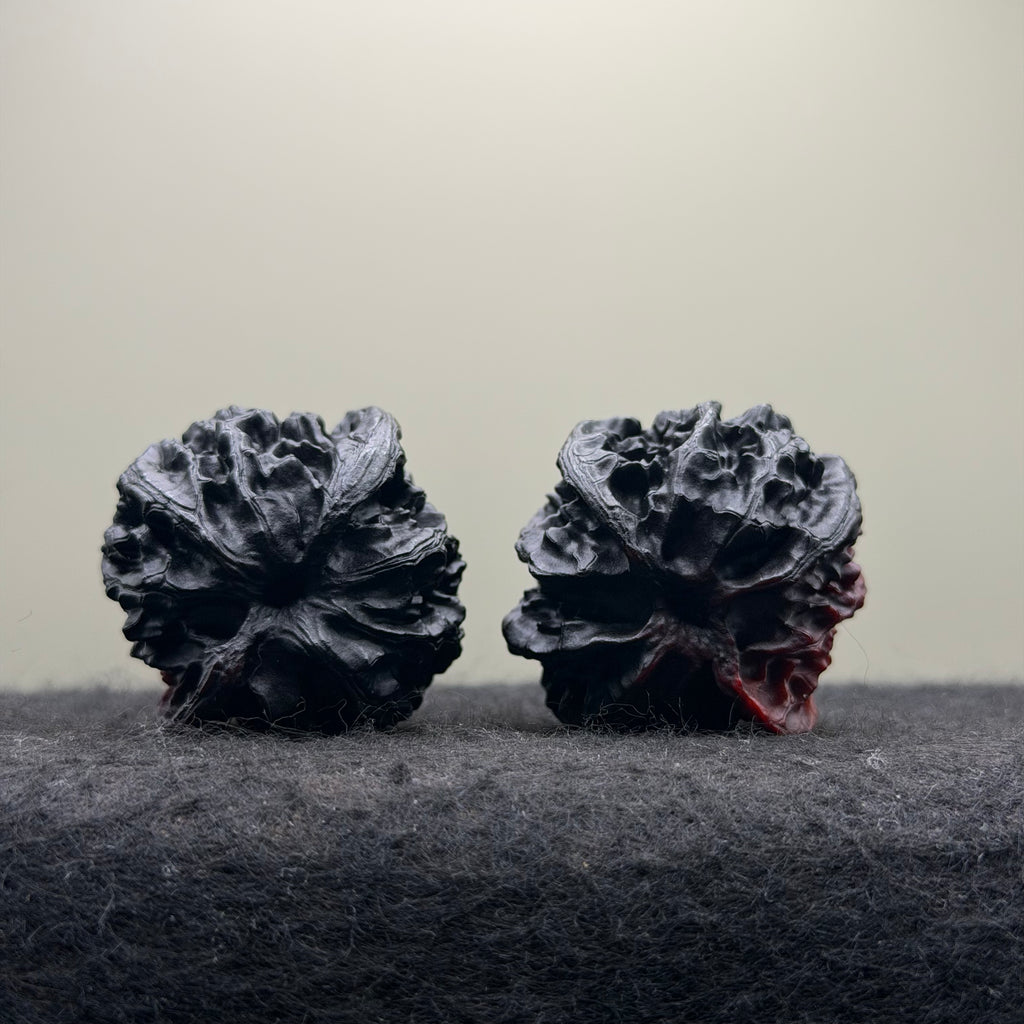 Ghost Rider Apple Orchard Wenwan Walnut · 40mm · Select Ritual