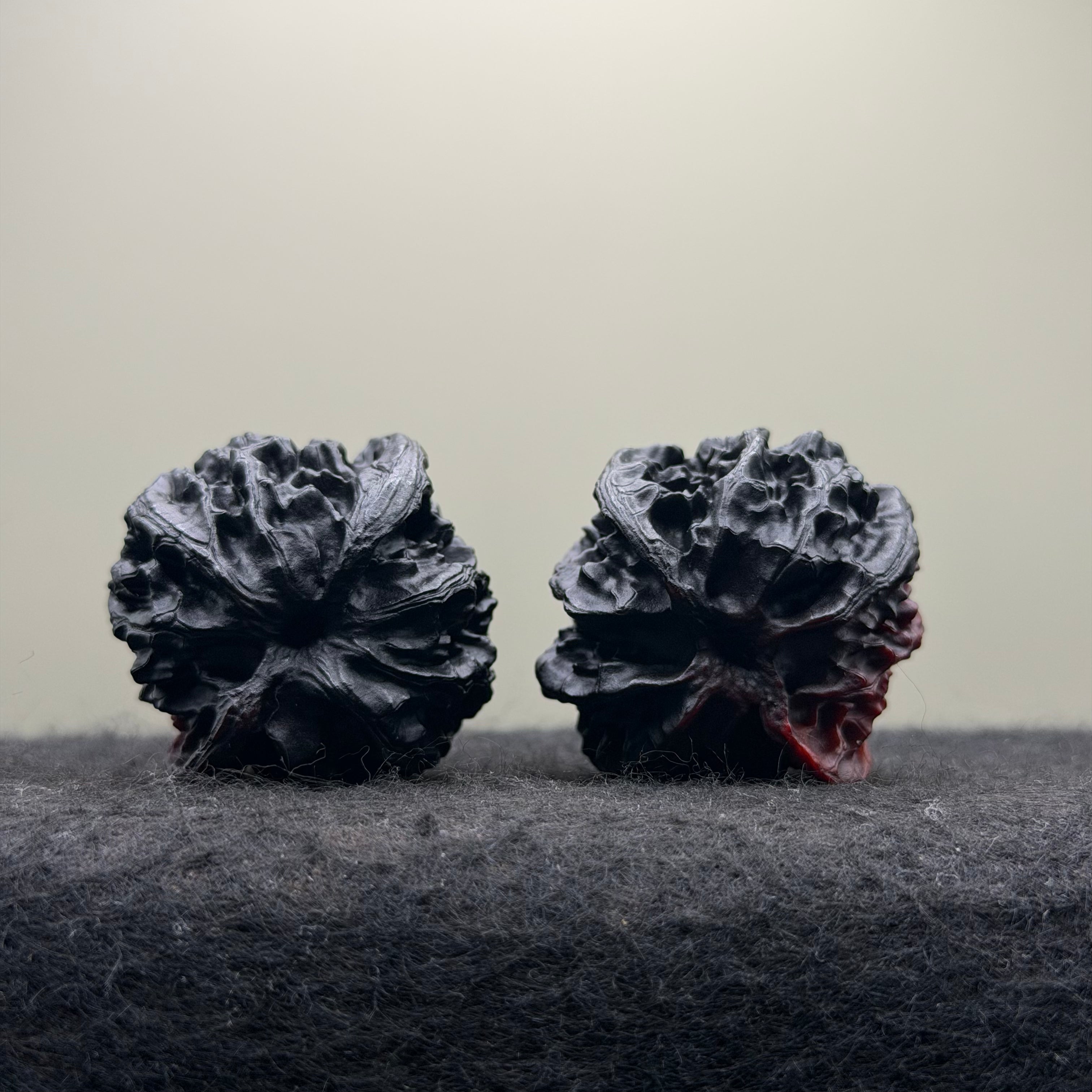 Ghost Rider Apple Orchard Wenwan Walnut · 40mm · Select Ritual