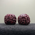 Wine-Red Longan Wenwan Walnut · 34mm · Select Ritual