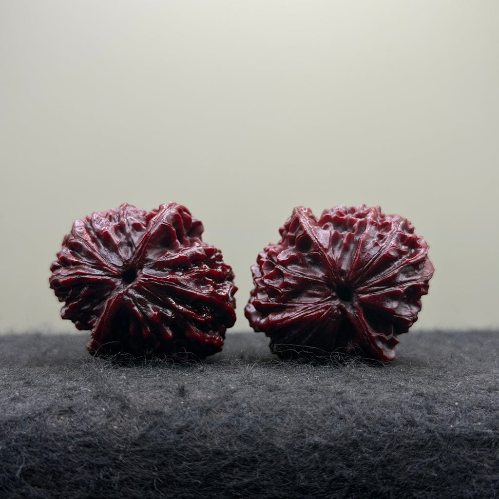 Wine-Red Longan Wenwan Walnut · 34mm · Select Ritual