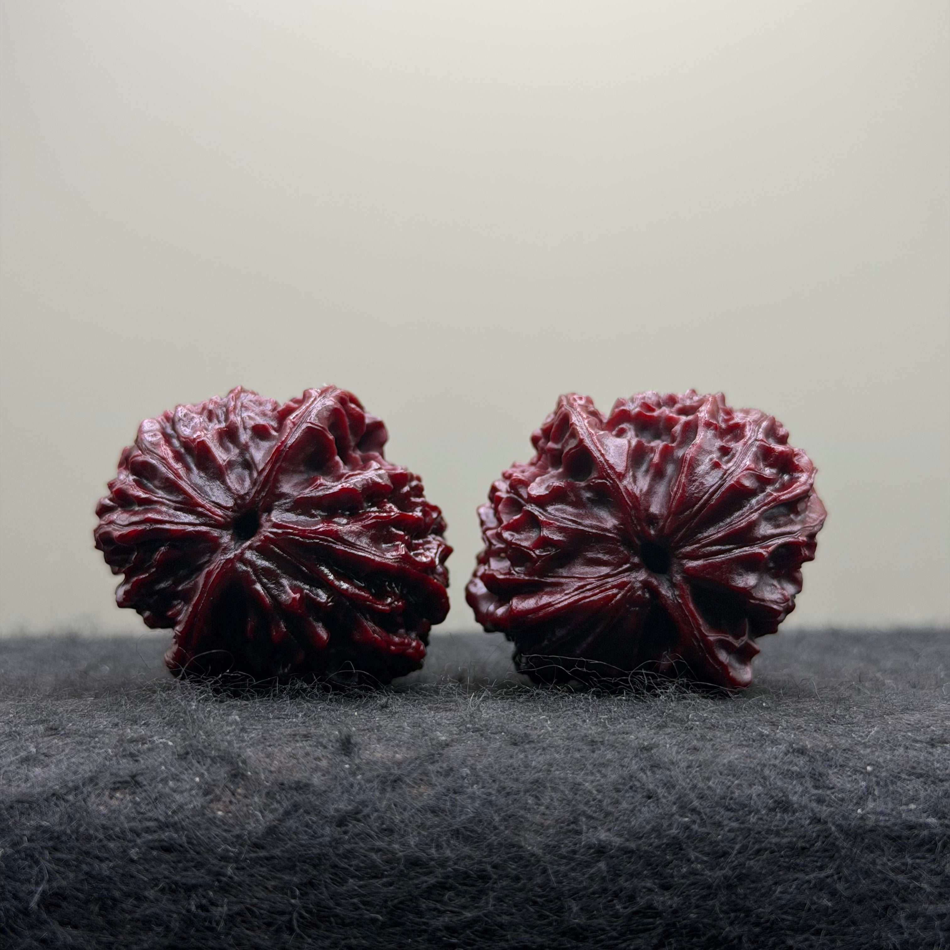 Wine-Red Longan Wenwan Walnut · 34mm · Select Ritual