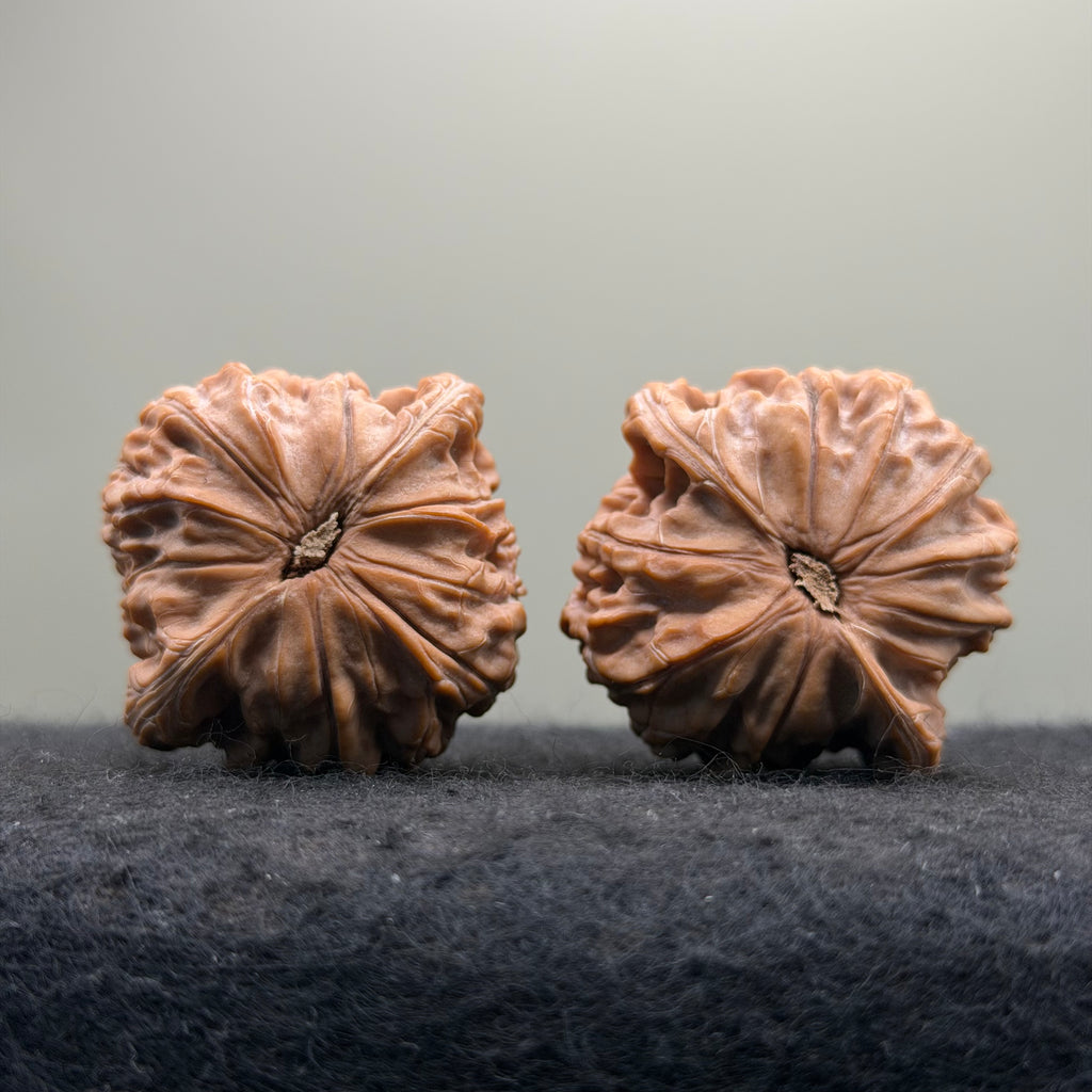 Millstone Wenwan Walnut  · 41mm · Natural · Premium Ritual