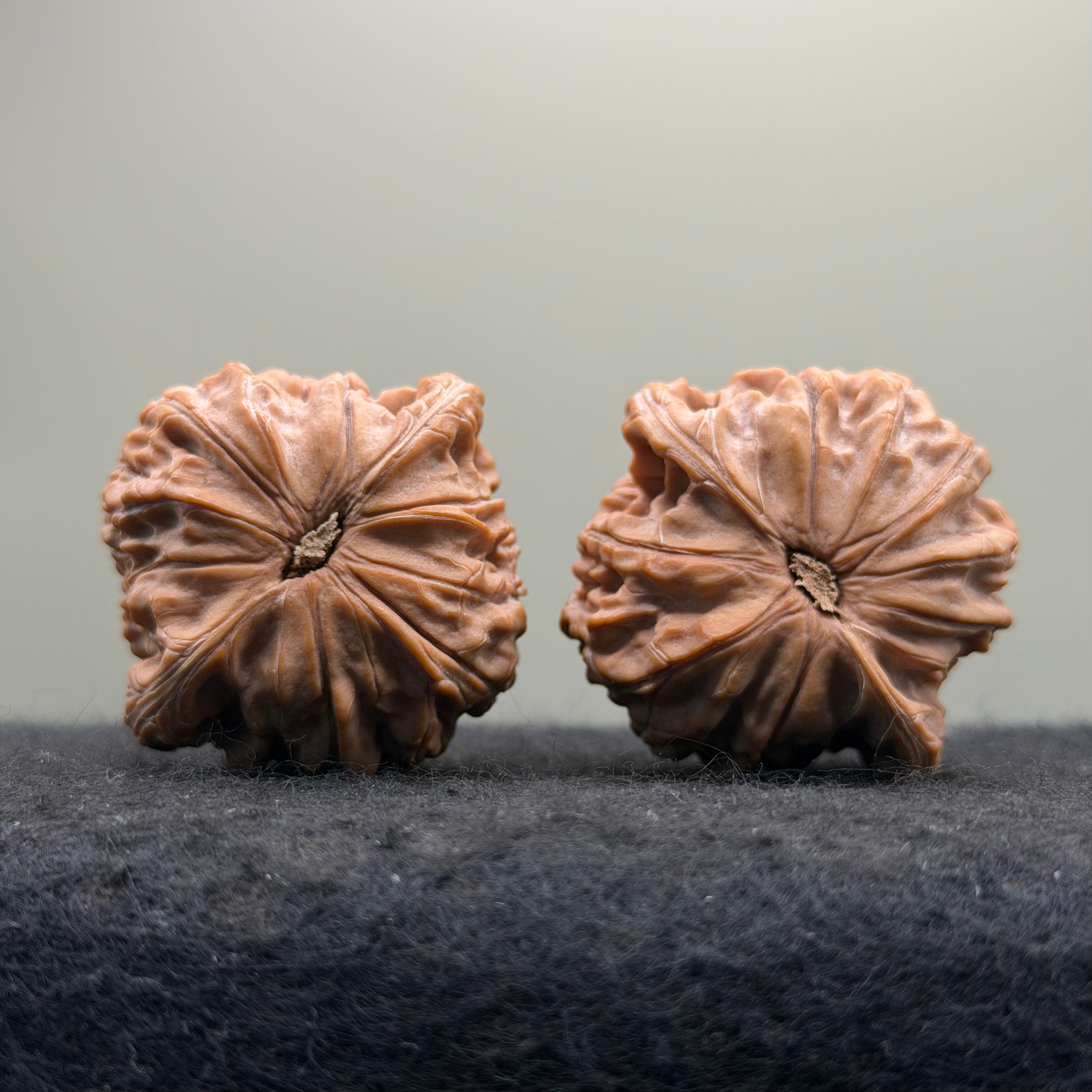 Millstone Wenwan Walnut  · 41mm · Natural · Premium Ritual