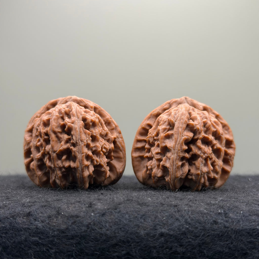 White Lion Wenwan Walnut · 38mm · Natural · Entry Ritual