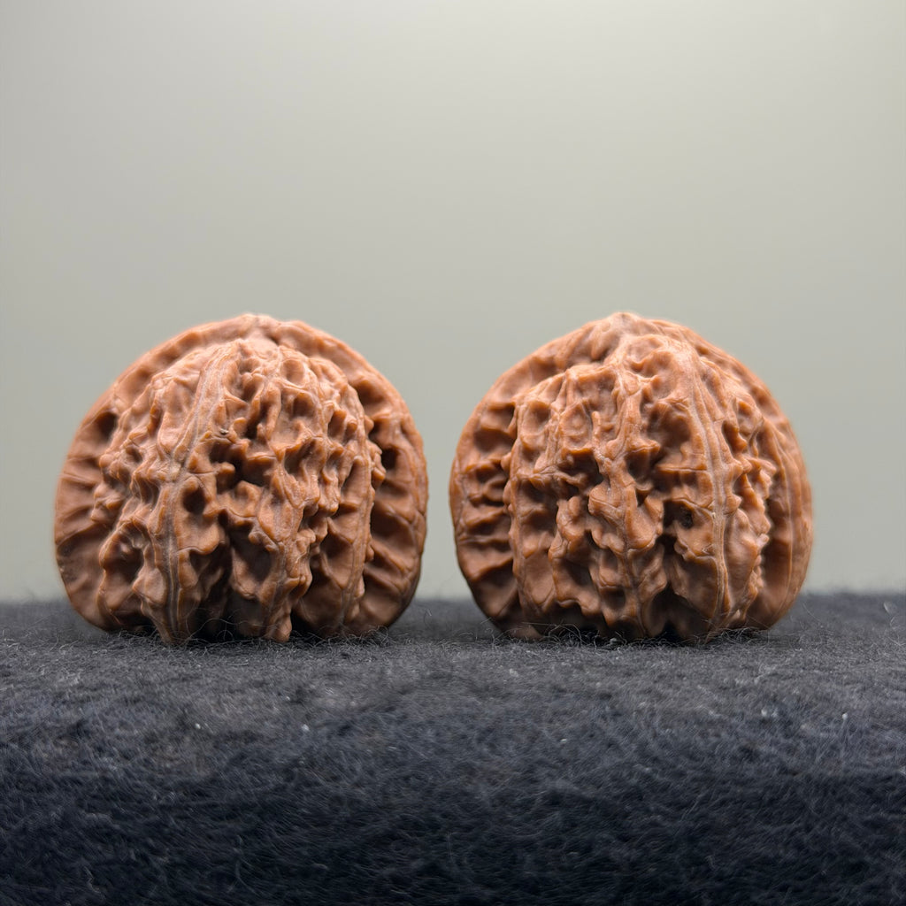 White Lion Wenwan Walnut · 38mm · Natural · Entry Ritual