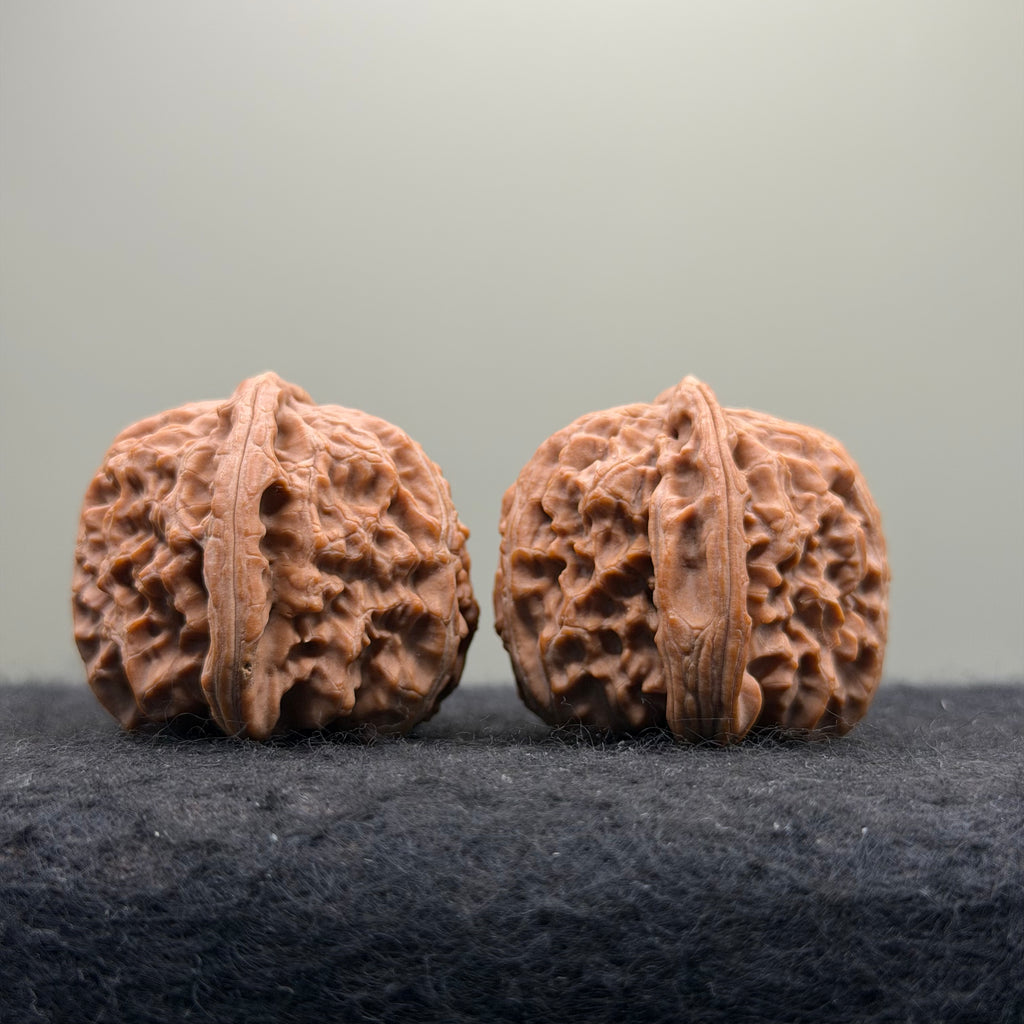 White Lion Wenwan Walnut · 38mm · Natural · Entry Ritual